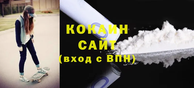 купить закладку  Николаевск  Cocaine Эквадор 