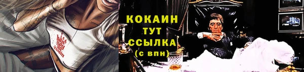 трава Новозыбков