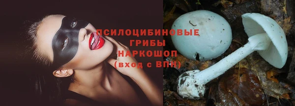 МДМА Новодвинск