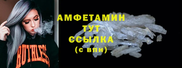 трава Новозыбков