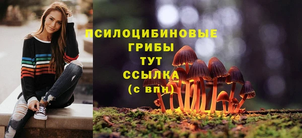 кокаин премиум Няндома