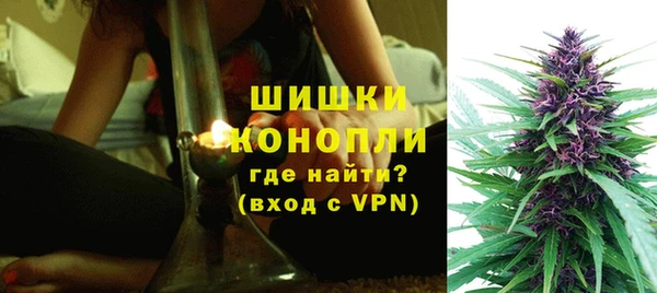трава Новозыбков